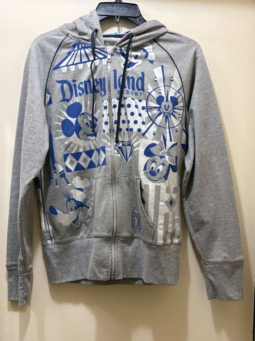 Disney Gray and Blue Disneyland Resort Zip-Up Hoodie